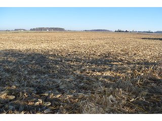 Tracts 4 & 5 - FARMLAND AUCTION - 165.5+/- ACRES OFFERED IN 5 TRACTS OR COMBINATIONS IN EAST ALLEN COUNTY